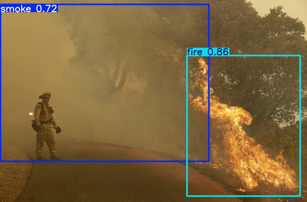 Environmental monitoring object detection output