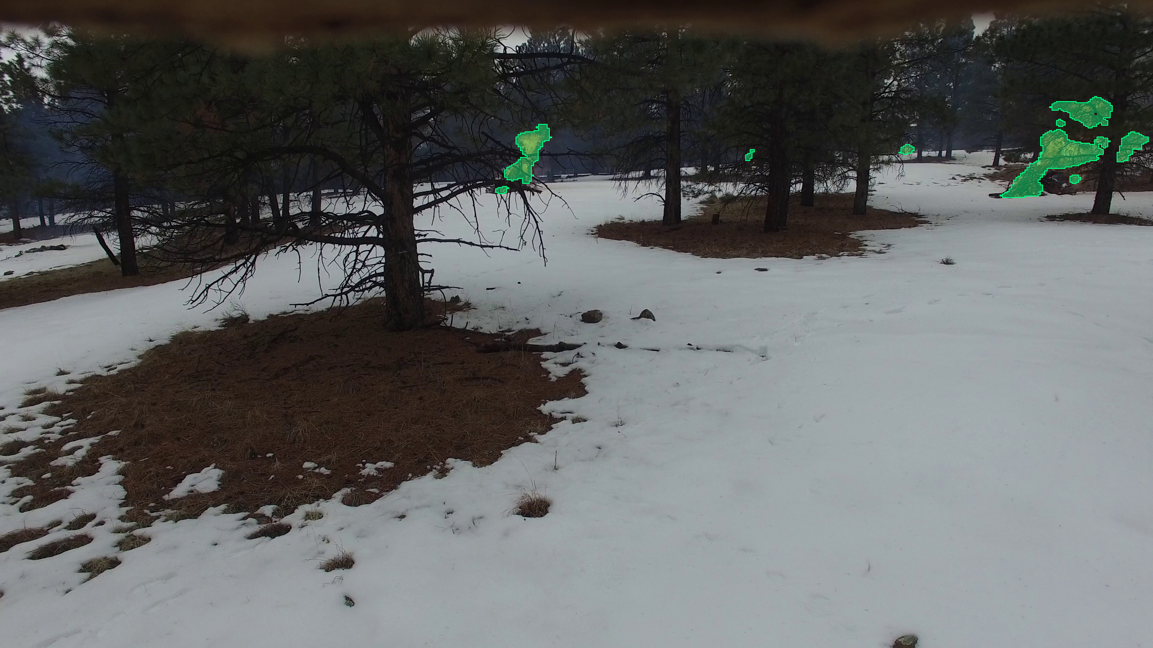 AI for Environmental Monitoring segmentation output
