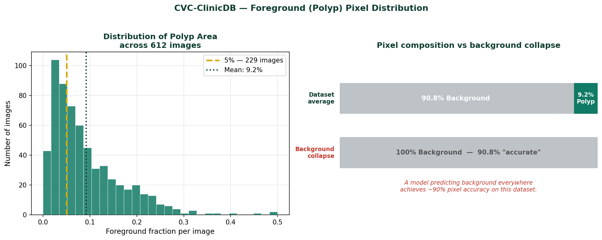 Figure 1 — Foreground pixel fraction distribution across CVC-ClinicDB