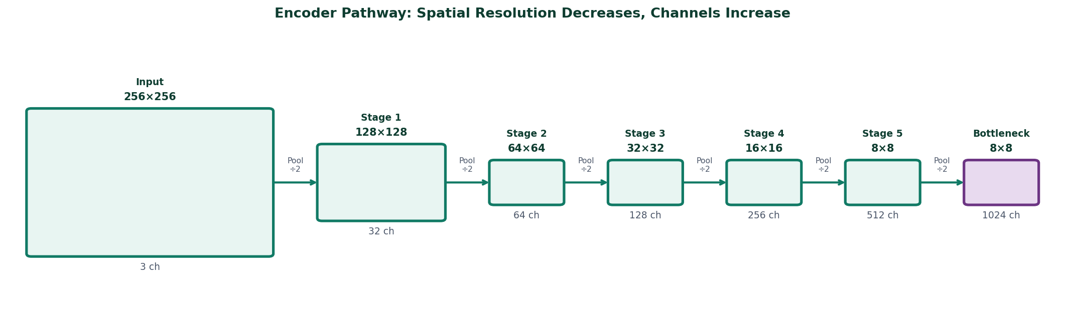 Encoder pathway showing spatial resolution decreasing and channels increasing