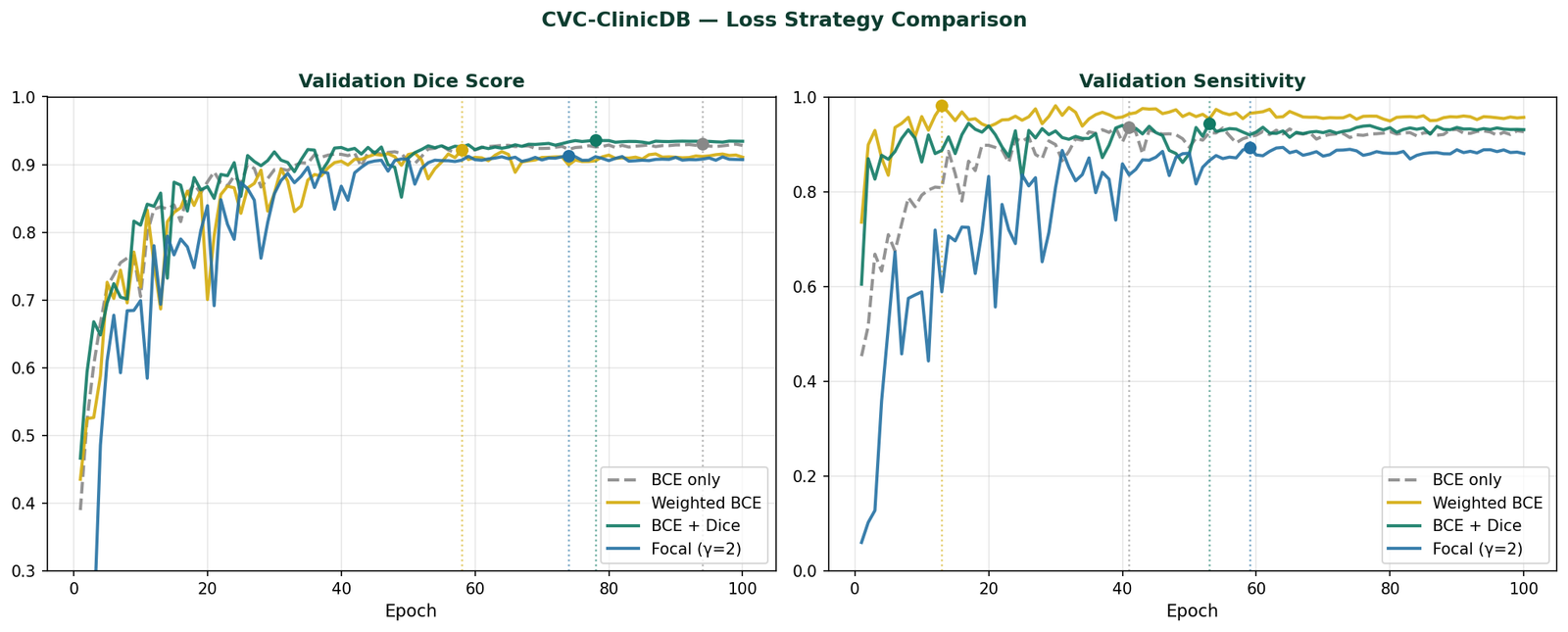 Validation Dice and Sensitivity curves for all four loss configurations